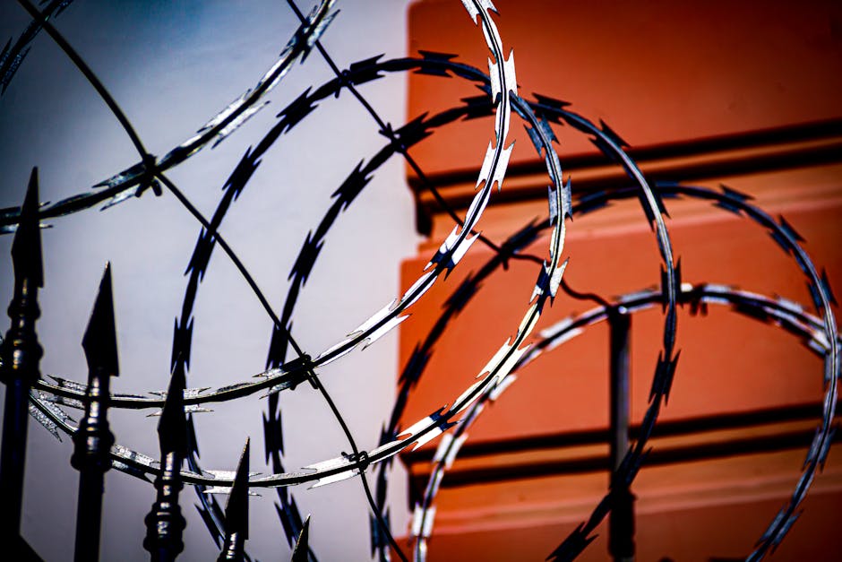 barbed wire barbed wire