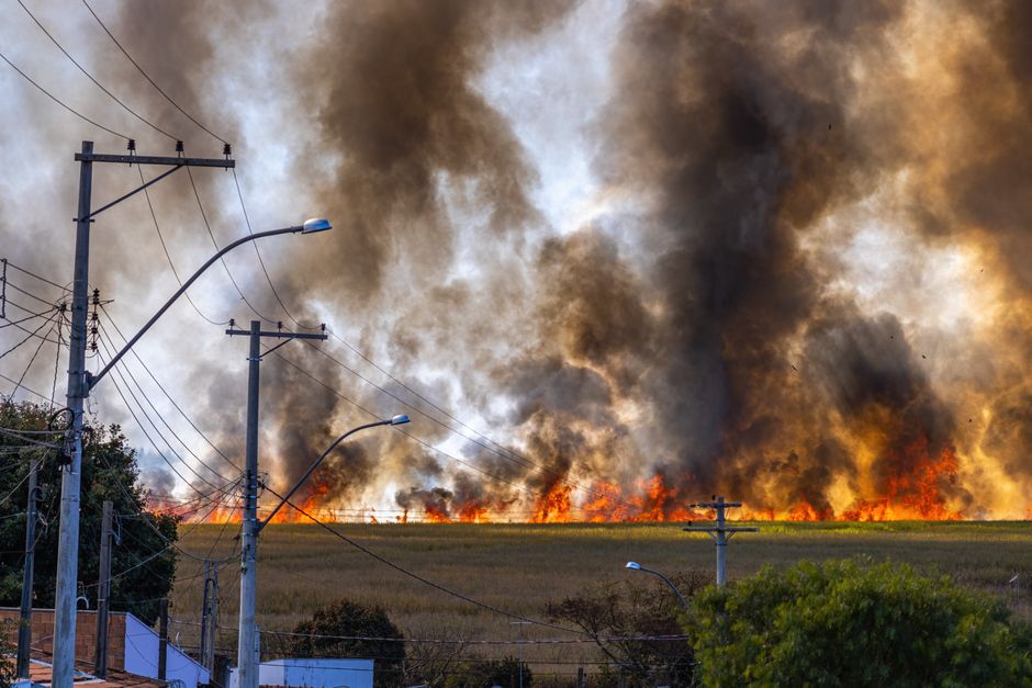 wildfire wildfire